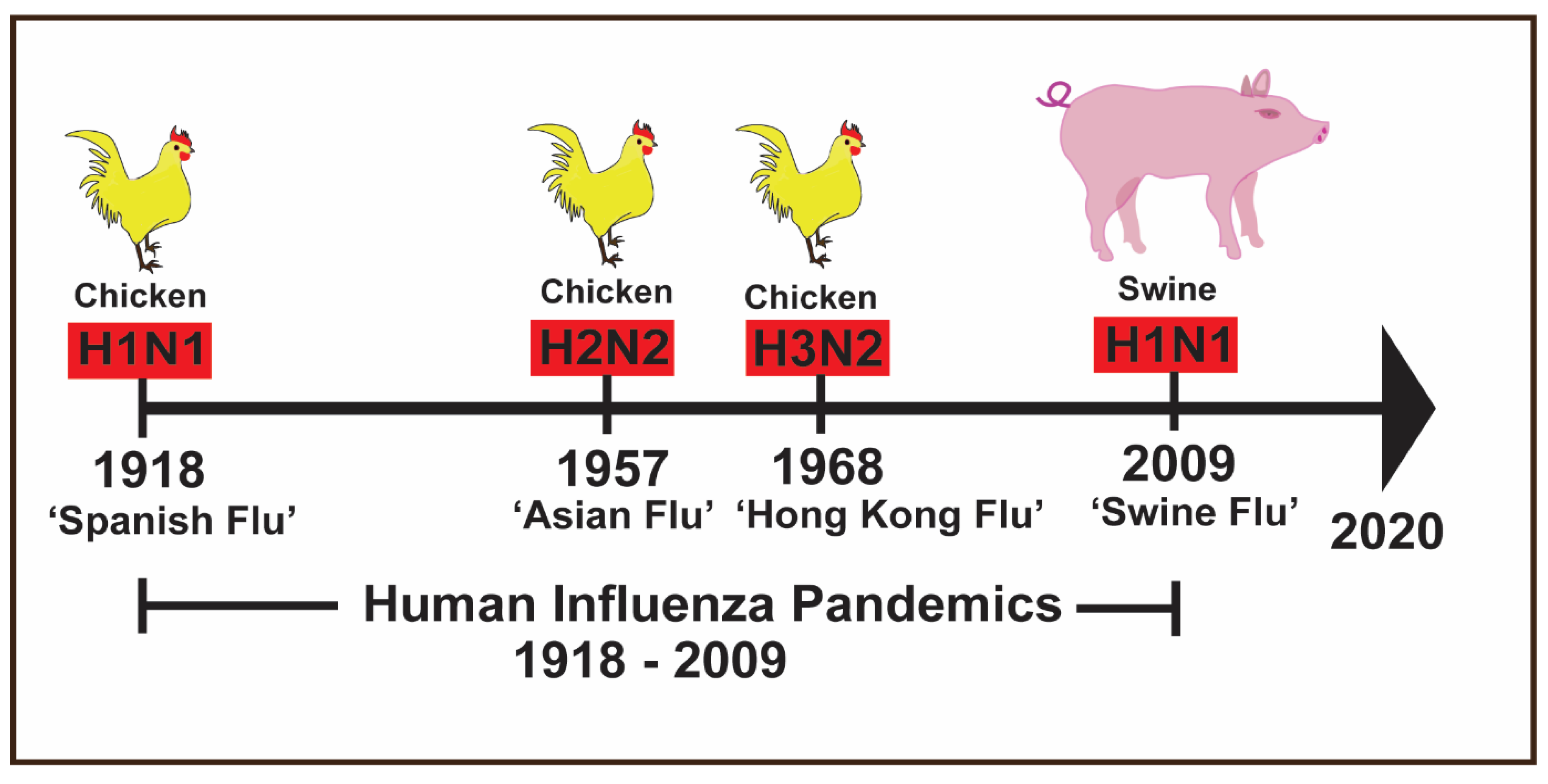 What is the difference between H1N1 and H2N2?