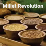 What is India's Millet revolution - health benefits, growing condition, initiatives by Govt