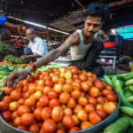 Why Tomato prices have increased in India | Tomato Economics